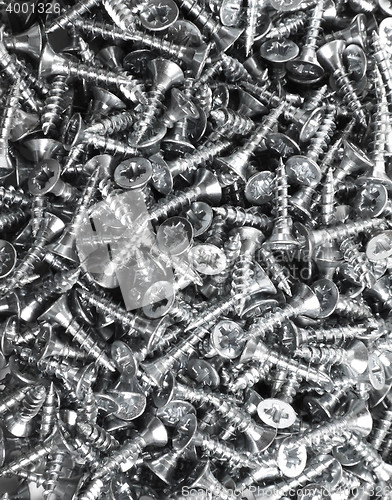 Image of screws close up