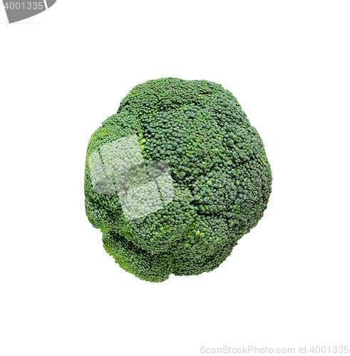 Image of Broccoli