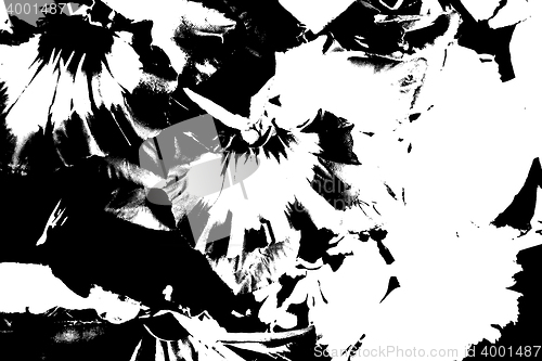 Image of Grunge white and black wall background. Vector illustration.