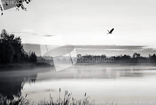 Image of The morning landscape with sunrise over water in the fog. Black 