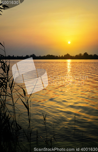 Image of Sunset over the lake