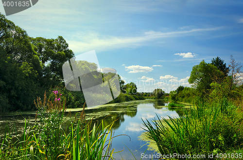 Image of Summer landscape with a river