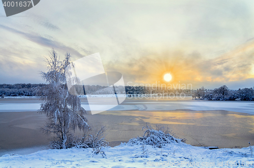 Image of Winter landscape with lake and trees covered with frost