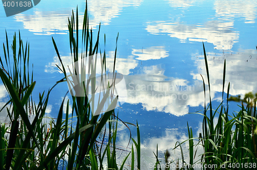 Image of Summer landscape with a river