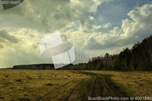 Image of Dirt road along the forest spring