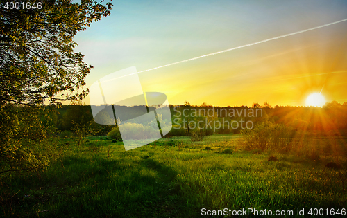 Image of Landscape with the sunrise over the meadow and lines from the ai