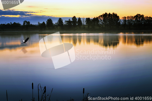 Image of The morning landscape with sunrise over water in the fog