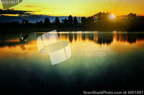 Image of The morning landscape with sunrise over water in the fog