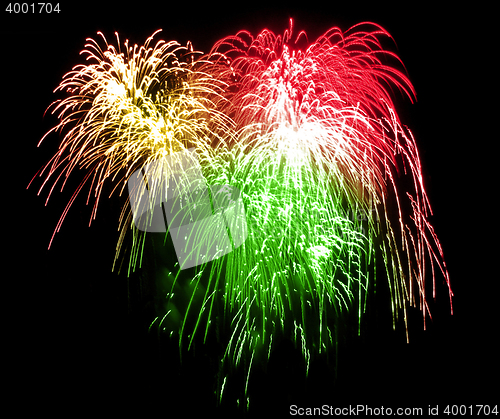 Image of Colorful fireworks over dark sky