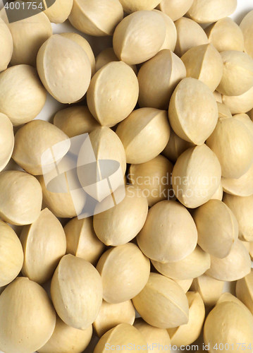 Image of many pistachios isolated on a white background
