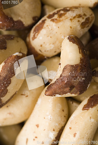 Image of Extreme close-up image of peanuts
