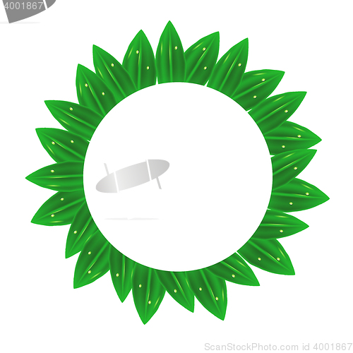 Image of Circle Green Leaves Frame