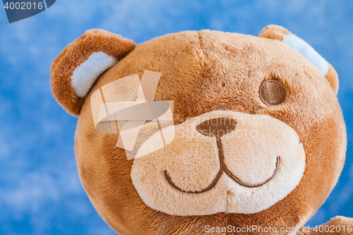 Image of Injured Teddy Bear