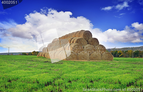 Image of Rolls of hay stacked in a stack on the field against the blue sky