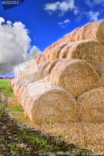 Image of Rolls of hay stacked in a stack on the field against the blue sky