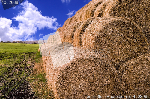 Image of Rolls of hay stacked in a stack on the field against the blue sky