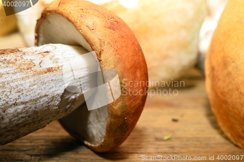 Image of  Wild mushroom on the table