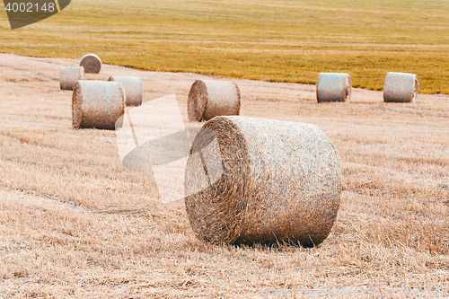 Image of harvested field with straw bales in summer