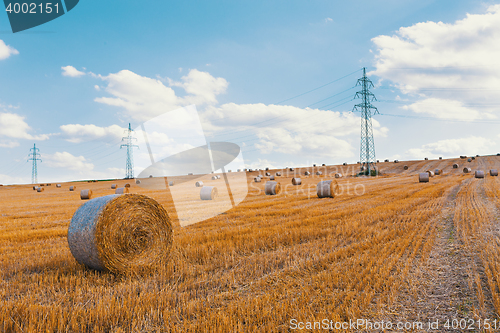 Image of harvested field with straw bales in summer