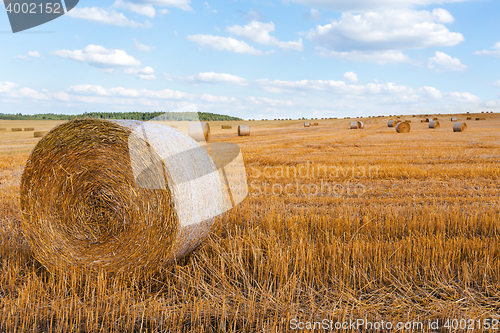 Image of harvested field with straw bales in summer