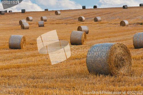 Image of harvested field with straw bales in summer