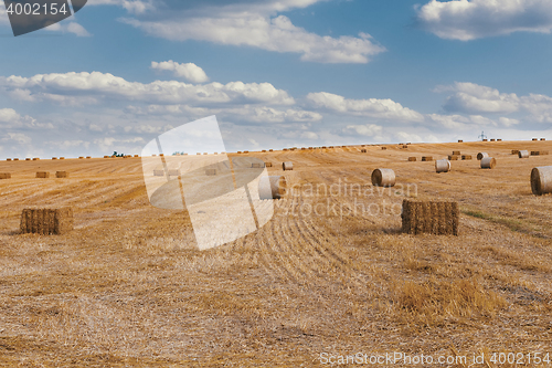 Image of harvested field with straw bales in summer