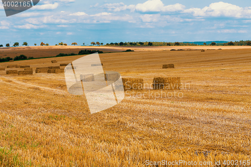 Image of harvested field with straw bales in summer