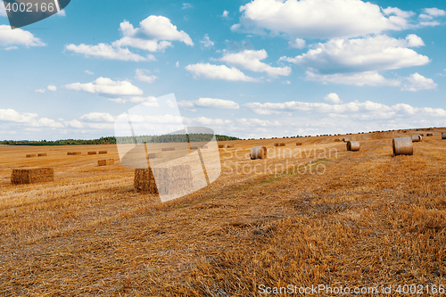 Image of harvested field with straw bales in summer