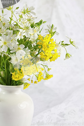 Image of Beautiful forest flowers