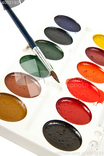 Image of Paints and brushe