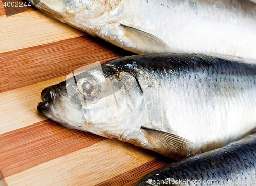 Image of close up of Fish