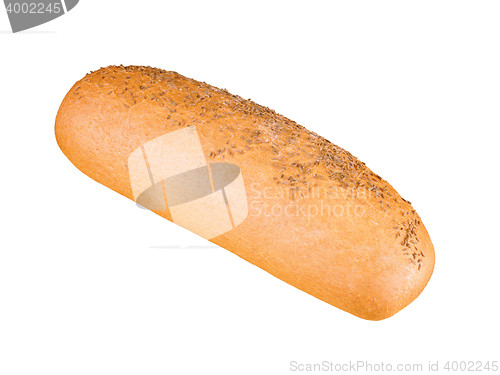 Image of delicious bun with sesame seeds isolated
