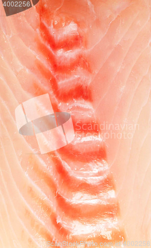 Image of raw salmon fillet background