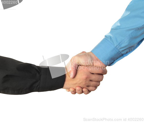 Image of Businessmen shaking hands