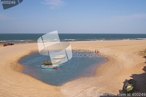 Image of Natural Pool