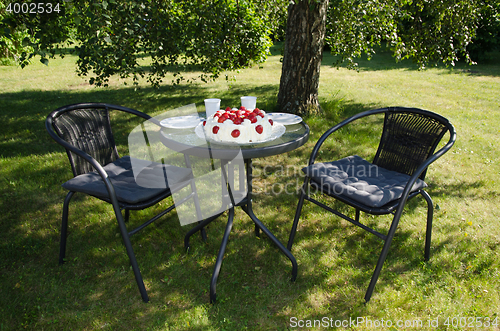 Image of Table with strawberry cake in a garden