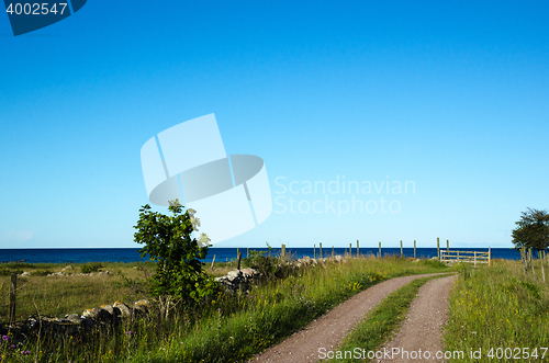 Image of Country road to the coast