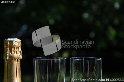 Image of Champagne bottle with two glasses