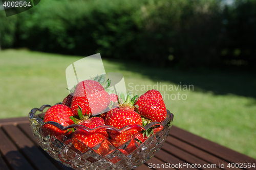 Image of Bowl with strawberries in the garden