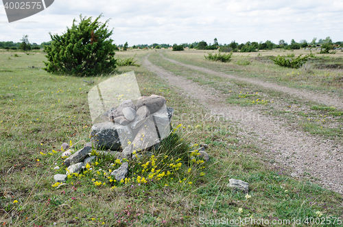 Image of Old cairn by a trail side