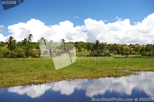 Image of Brazilian Landscape