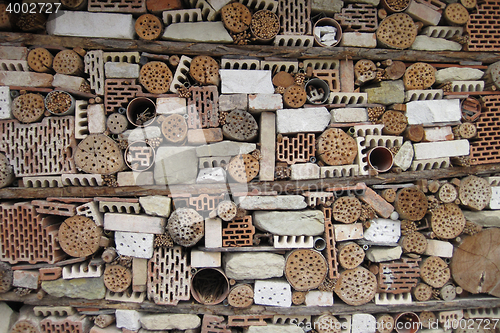Image of insect home made by people