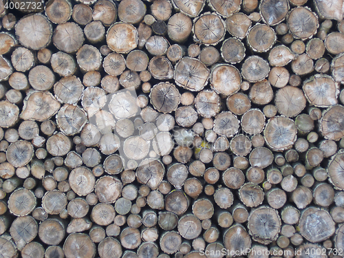 Image of firewood natural texture