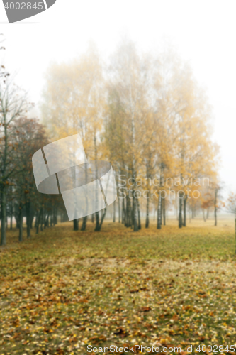 Image of Autumn Park, overcast