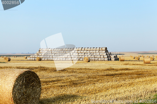 Image of stack of straw in the field