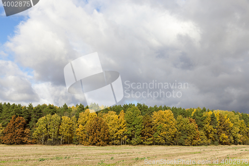 Image of autumn foliage, sky,