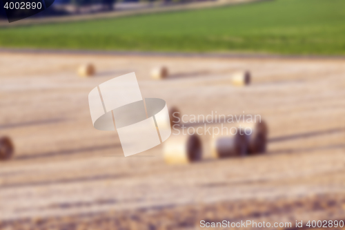 Image of stack of straw in the field