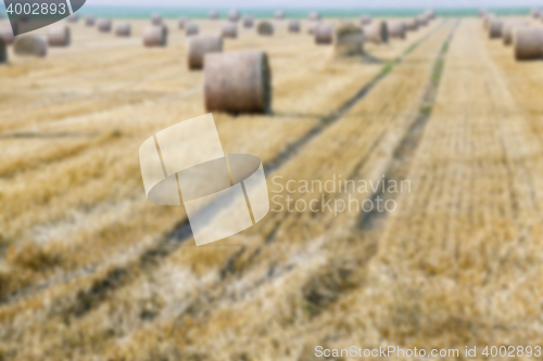 Image of stack of straw in the field