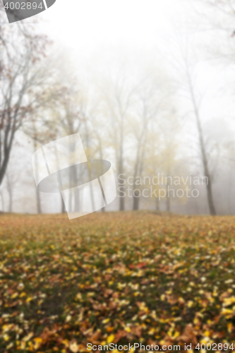 Image of Autumn Park, overcast