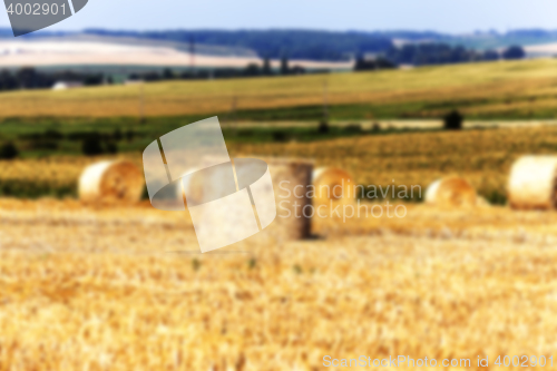 Image of agriculture, not in focus